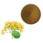 Tilia Flower Extract pictures