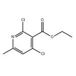 ETHYL 2,4-DICHLORO-6-METHYLPYRIDINE-3-CARBOXYLATE pictures
