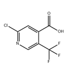 2-Chloro-5-(trifluoromethyl)isonicotinic acid  pictures