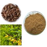 Weeping Forsythia Extract CP2000 pictures