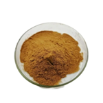 Maca Extract pictures