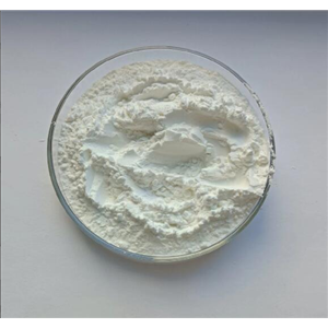 Riboflavin Sodium Phosphate; Riboflavin 5'-sodium phosphate