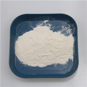 Chloroquine diphosphate