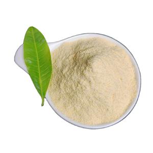 Xanthan gum