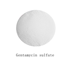 Gentamycin sulfate pictures