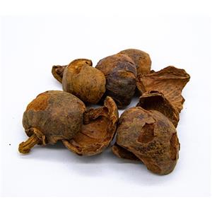 Garcinia mangostana, ext.