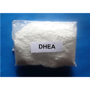 Dehydroepiandrosterone