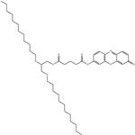 1,2-DI-O-LAURYL-RAC-GLYCERO-3-GLUTARIC*ACID-RESORUFI pictures