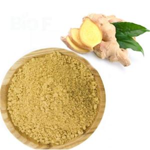 Ginger extract powder