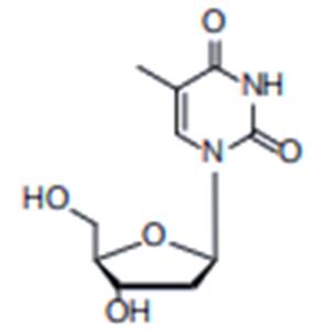 β-Thymidine(2'-dT)