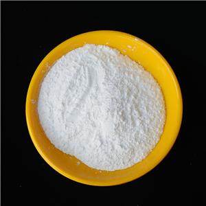 Fmoc-L-glutamic acid