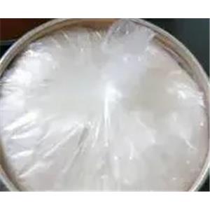 Vinblastine Sulfate