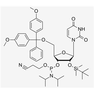 2'-O-TBDMS-U CE Phosphoramidite