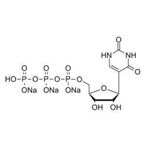 pseudo-UTP