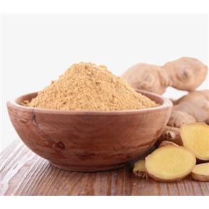 Ginger extract powder