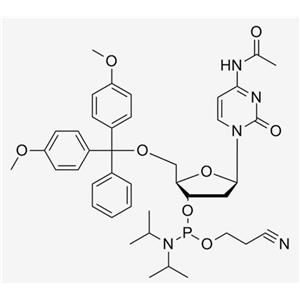 dC(Ac) CE Phosphoramidite