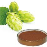 Hop Extract Powder pictures