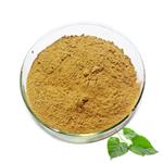 Mulberry Leaf Extract Powder pictures