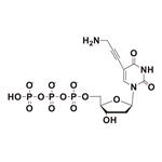 5-Propargylamino-dUTP pictures