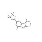 Pyrido[1,2-a]benzimidazole, 6-fluoro-1,2,3,4-tetrahydro-1-methyl-8-(4,4,5,5-tetramethyl-1,3,2-dioxaborolan-2-yl)-, (1R)- pictures