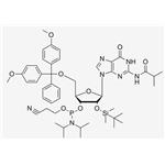 DMT-2'-O-TBDMS-G(iBu) CE Phosphoramidite pictures