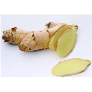 Ginger extract powder