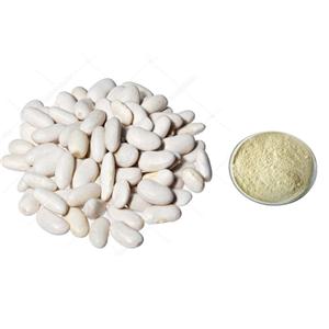 White kidney bean extract