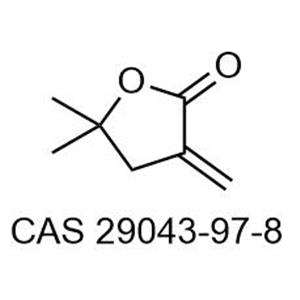 2-(4-vinylphenoxy)tetrahydrofuran