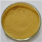 Ginger extract powder pictures