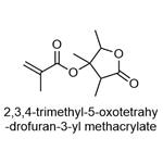 2,3,4-trimethyl-5-oxotetrahydrofuran-3-yl methacrylate pictures