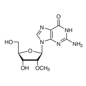 2'-O-Methylguanosine