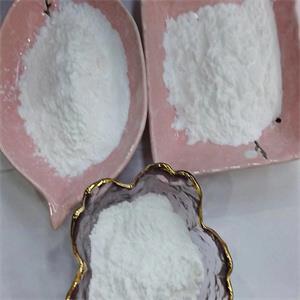 Citicoline sodium salt