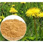  St. John′s Wort Extract