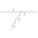 1,2-distearoyl-sn-glycero-3-phosphocholine pictures