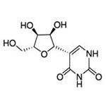 1445-07-4 Pseudouridine