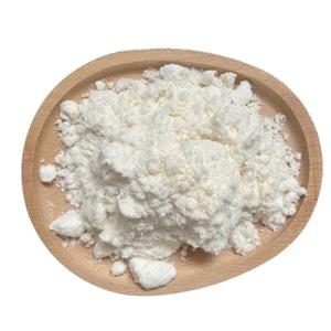 DIMETHYLPROCAINE