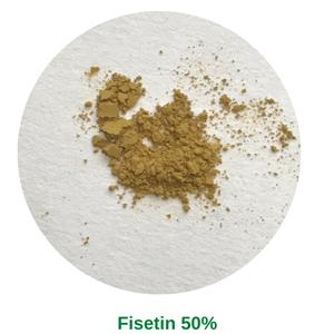 Cotinus Coggygria Extract