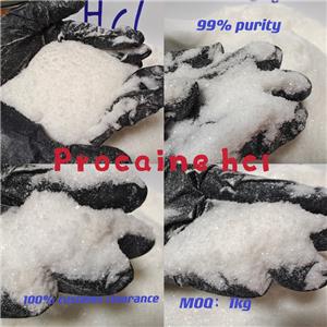 Procaine Hcl