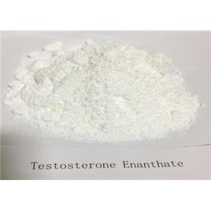 testosterone Enanthate