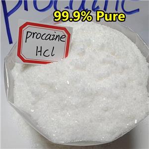 Procaine hydrochloride