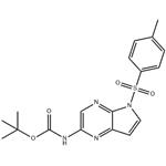 Carbamic acid, N-?[5-?[(4-?methylphenyl)?sulfonyl]?-?5H-?pyrrolo[2,?3-?b]?pyrazin-?2-?yl]?-?, 1,?1-?dimethylethyl ester pictures