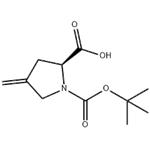 (S)-4-METHYLENE-PYRROLIDINE-1,2-DICARBOXYLIC ACID 1-TERT-BUTYL ESTER pictures