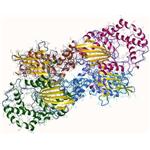 Phosphatase pictures