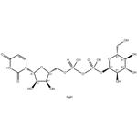 Uridine 5'-diphosphoglucose disodium salt pictures