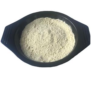 Bromhexine hydrochloride