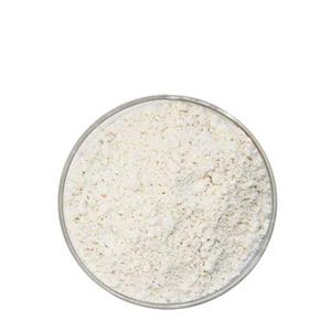 Sodium Carboxymethyl Cellulose