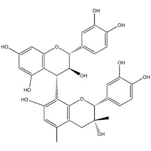 Grape Seed Extract