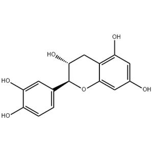 (-)-CATECHIN HYDRATE