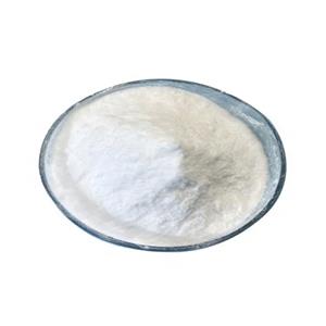 3-methylphthalate