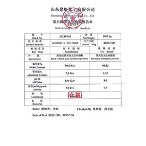 Raney (Sponge) Nickel Catalysts